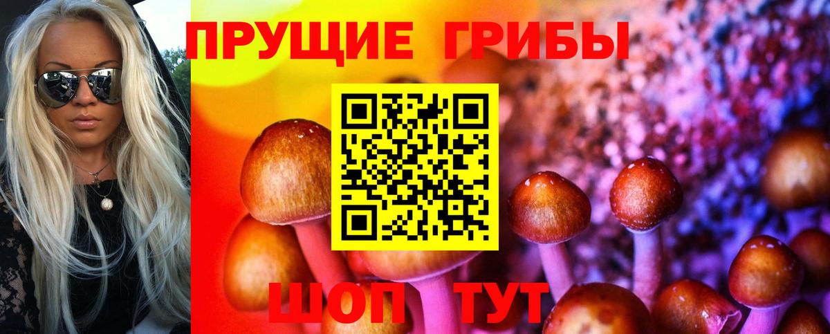 Галлюциногенные грибы MAGIC MUSHROOMS  Вход с VPN  Урус-Мартан  Псилоцибиновые грибы Magic Shrooms 